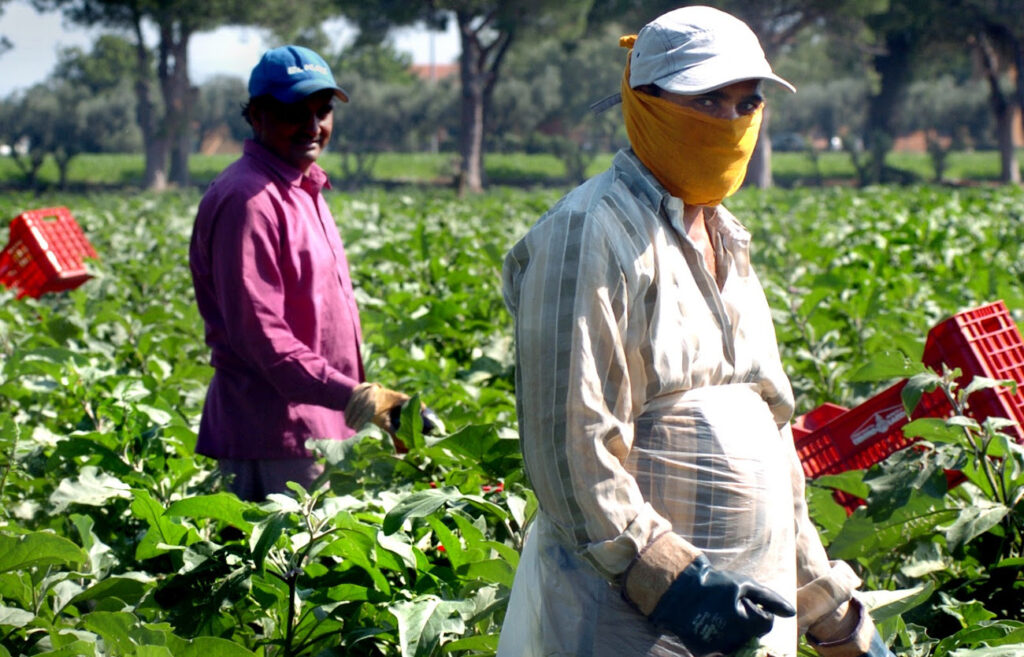 il decreto “Cura Italia” liberi lavoratori agricoli