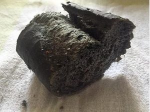Il carbone vegetale attivo
